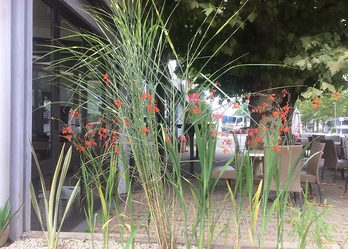 Hotel La Hourquie Cafe Morlaas